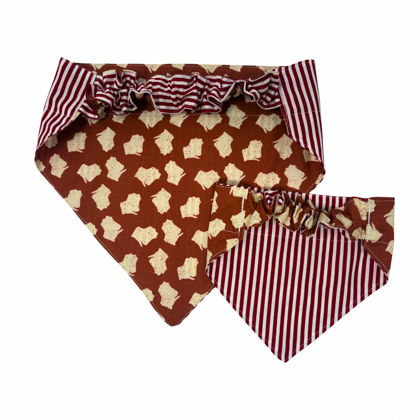 Wisconsin College Pet Reversible Slip-On Bandana
