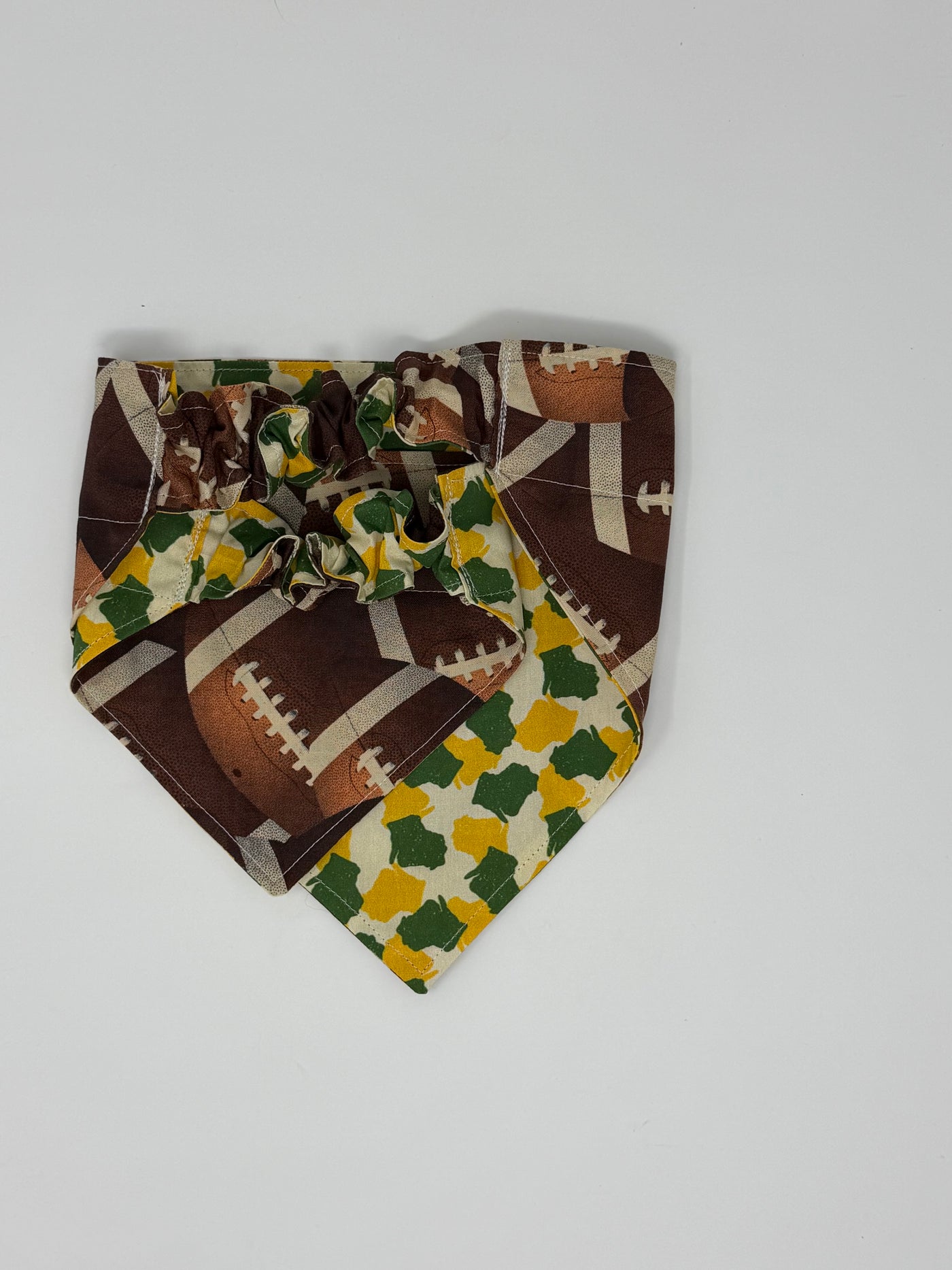 Wisconsin Sports Football Reversible Pet Bandana
