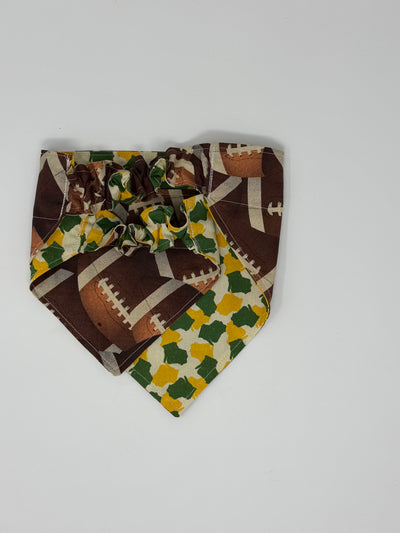 Wisconsin Sports Football Reversible Pet Bandana